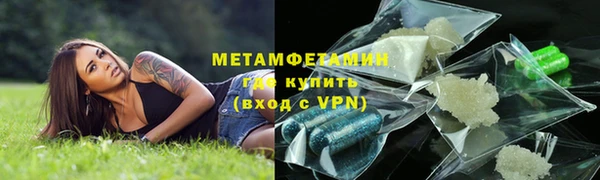 ПСИЛОЦИБИНОВЫЕ ГРИБЫ Ельня