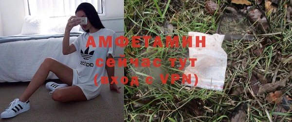 мдпв Нея