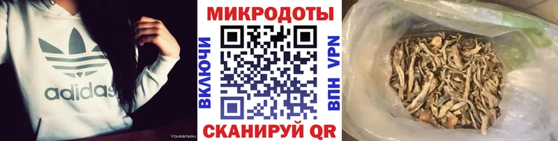 Галлюциногенные грибы GOLDEN TEACHER Моздок