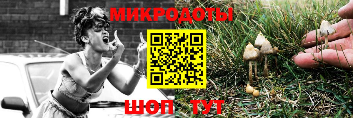 Галлюциногенные грибы Cubensis  Моздок 