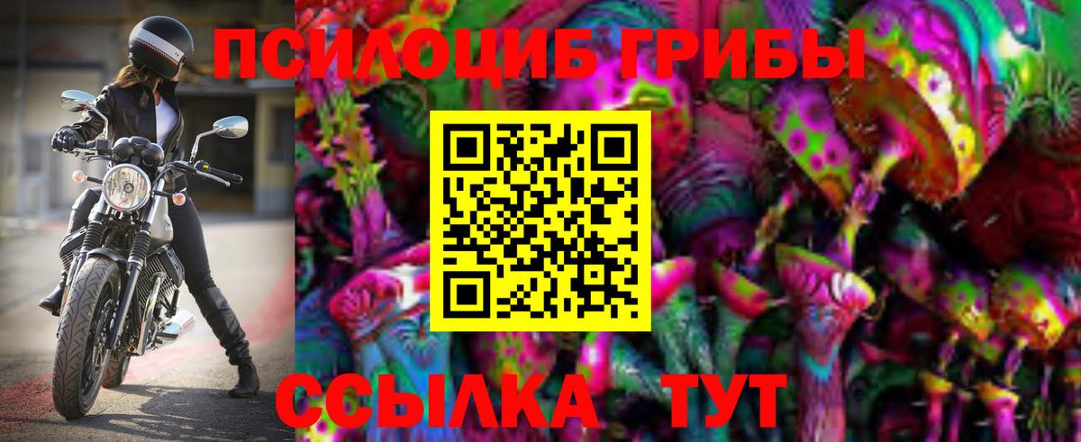 Галлюциногенные грибы Psilocybe  Вход с VPN  Моздок 